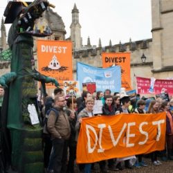 Stat 1 - Divestment (300)